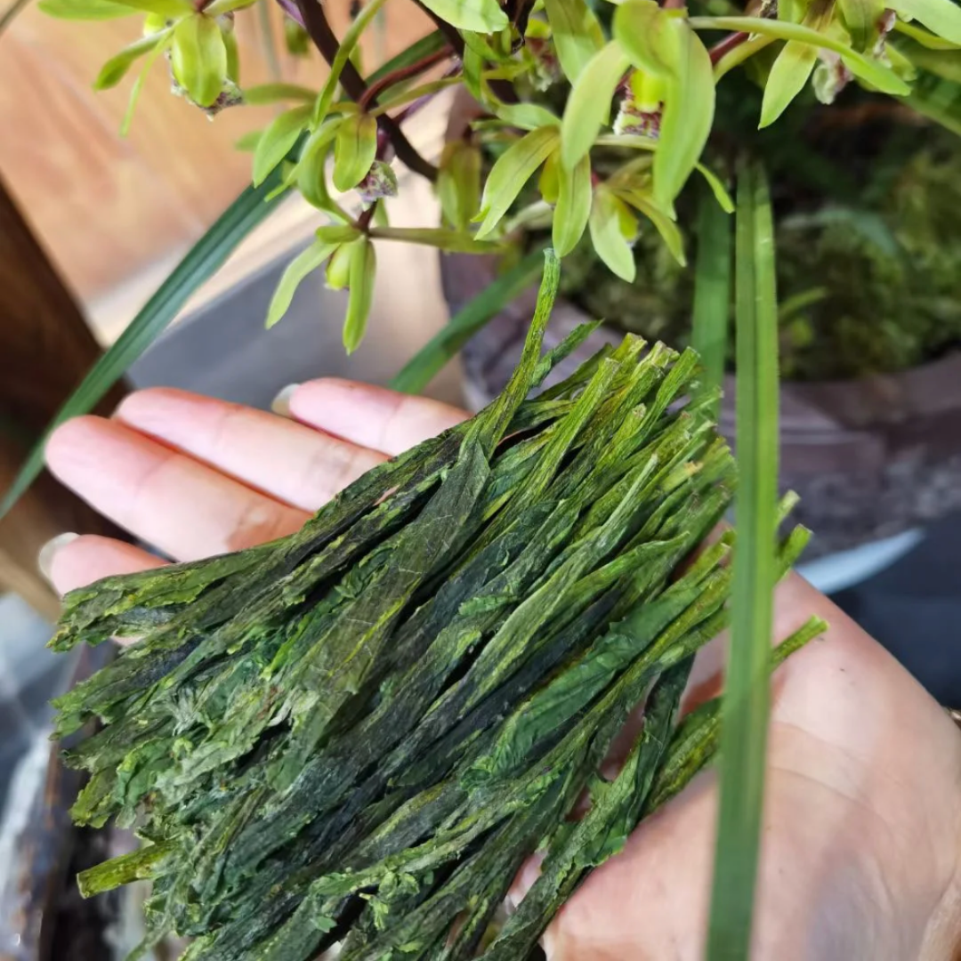 Taiping Houkui Monkey Tea Spring