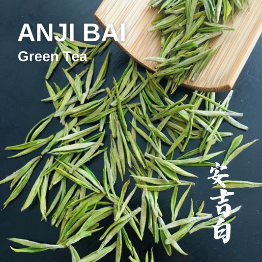 Anji White Tea (Anji Bai Cha) Spring Tea