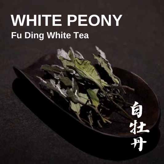 WHITE PEONY Bai Mu Dan - Fuding White tea