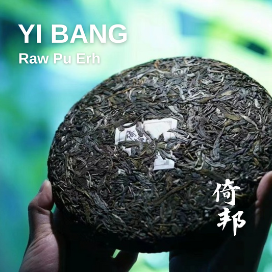 [Raw Pu Erh] YI BANG Raw Pu Erh Tea Cake