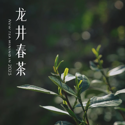 LONG JING (Dragon Well) Spring Green Tea