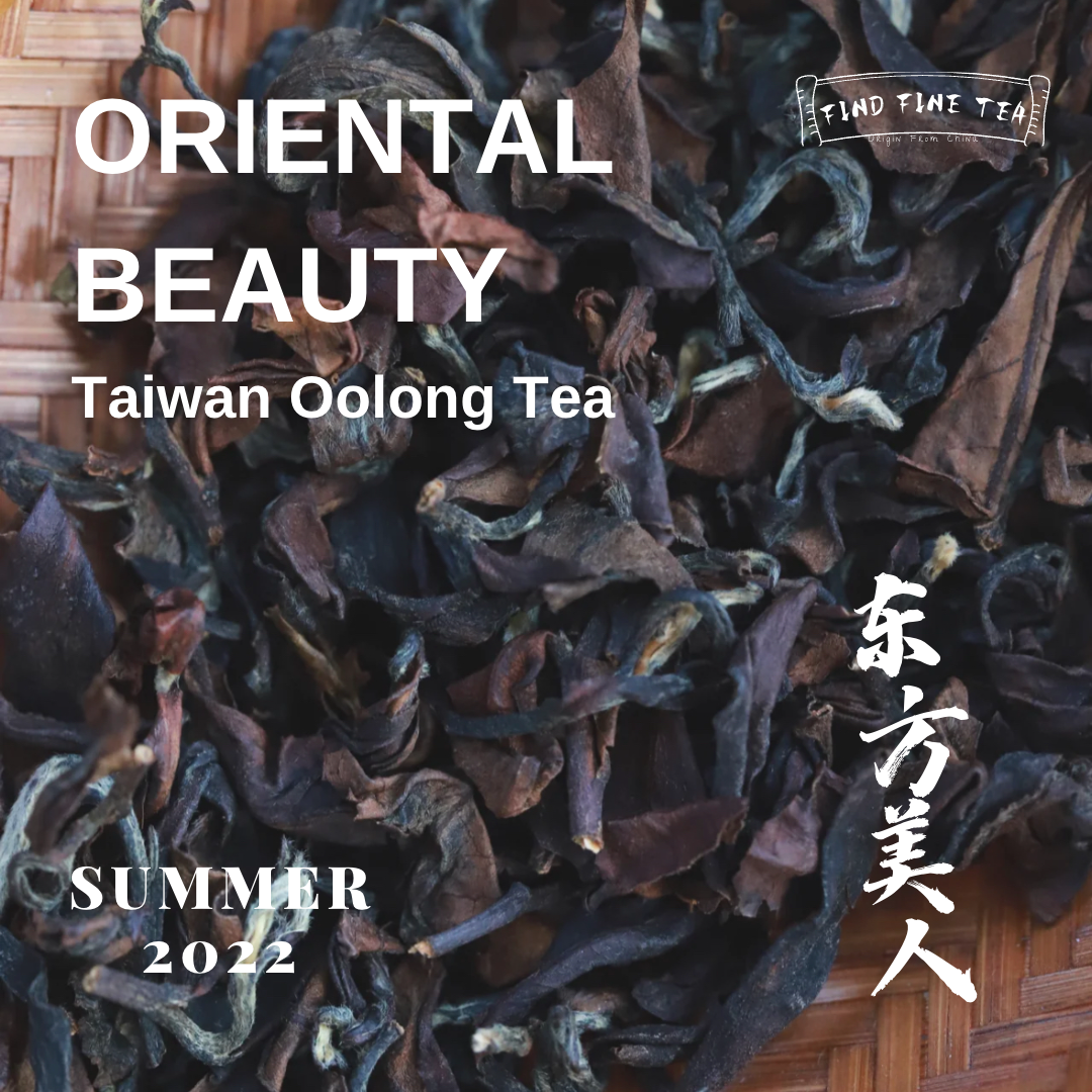 Oriental Beauty Taiwan Ooloong
